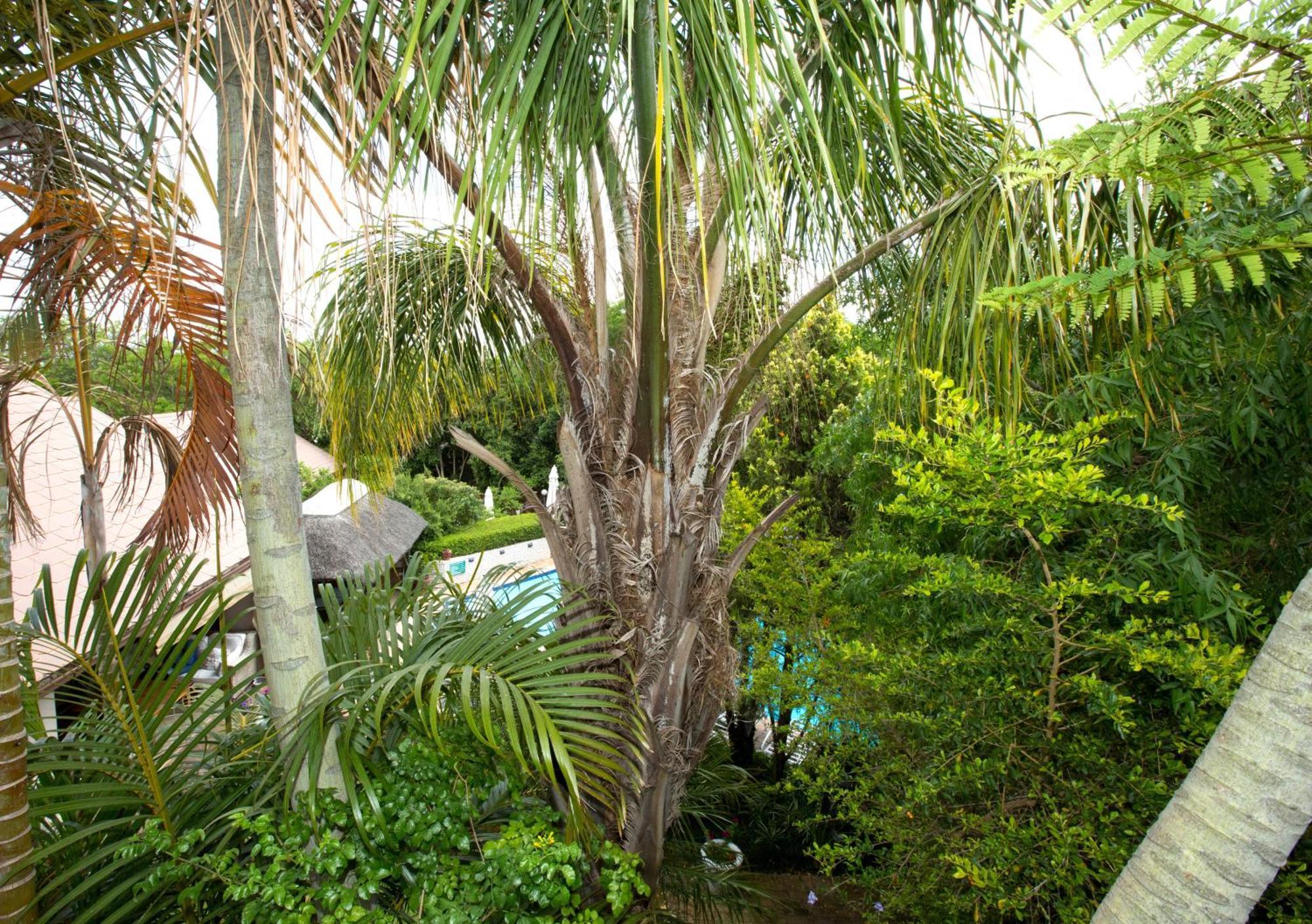 Hazelwood House Hotel Stellenbosch Ngoại thất bức ảnh
